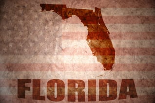 The state of florida with a faded American flag behind it and Florida spelled out under the state icon