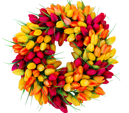 The Wreath Depot Blush Tulip wreath