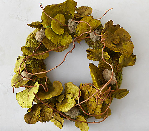 Shelf mushroom and moss wreath