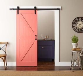 bold color door