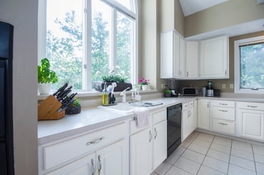 contemporary kitchen herb garden