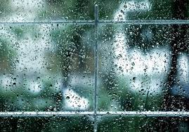 dew on window