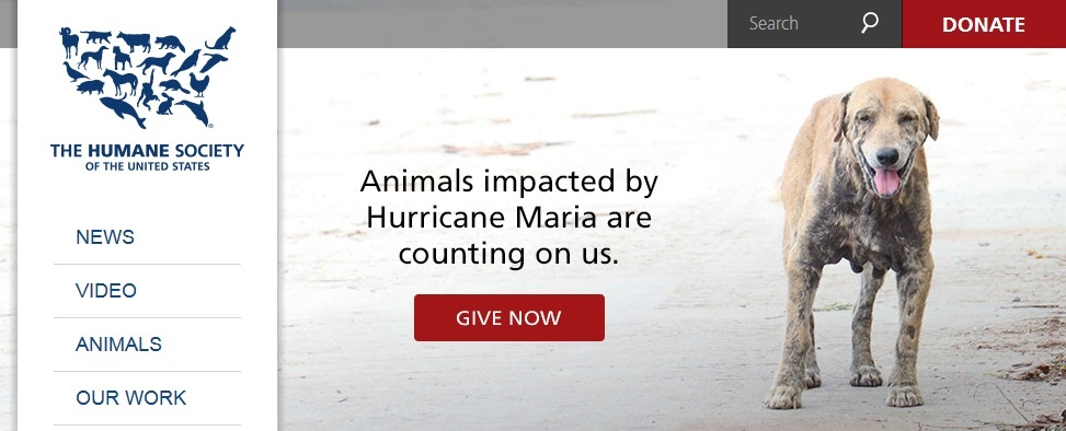 humane society.jpg